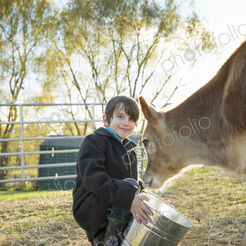A young boy feeding a calf by bucket in a paddock at an sanctuary.