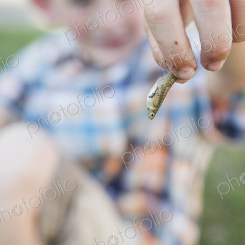 A young boy holding a small fish in his fingers. A young boy holding a small fish in his fingers.