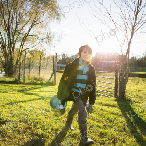 A young boy in an animal paddock, holding a bucket of feed. Animal sanctuary.