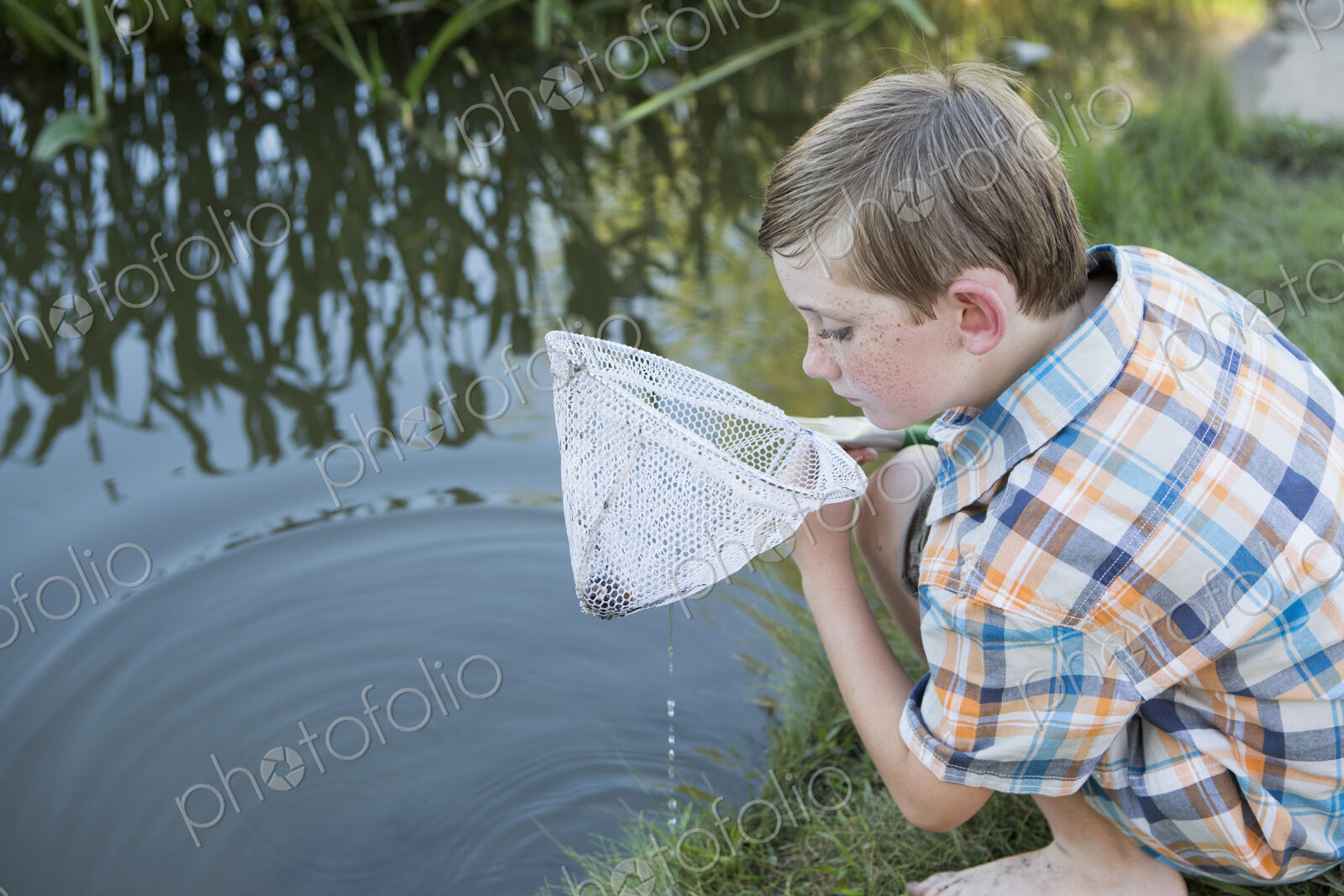 A young boy outdoors with a fishing net, examining the objects in the net, on a river…