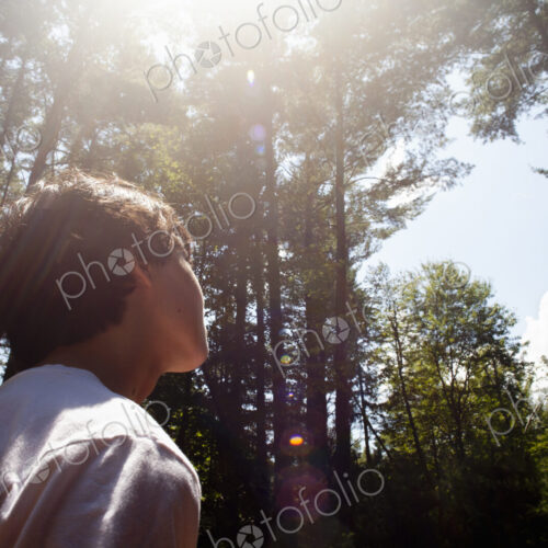 A young boy playing in the pine forest, surrounded by tall straight tree trunks.