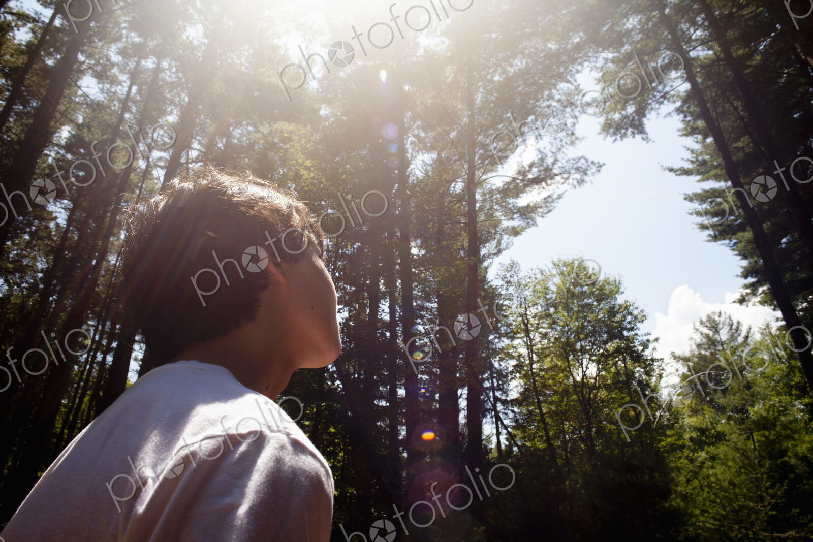A young boy playing in the pine forest, surrounded by tall straight tree trunks.