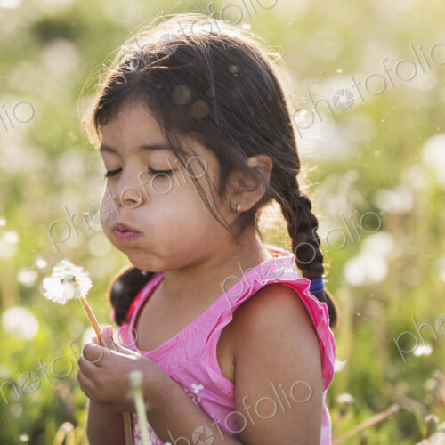 A young child in a field of flowers, blowing the fluffy seeds off a dandelion seedhead… A young child in a field of flowers, blowing the fluffy seeds off a dandelion seedhead…