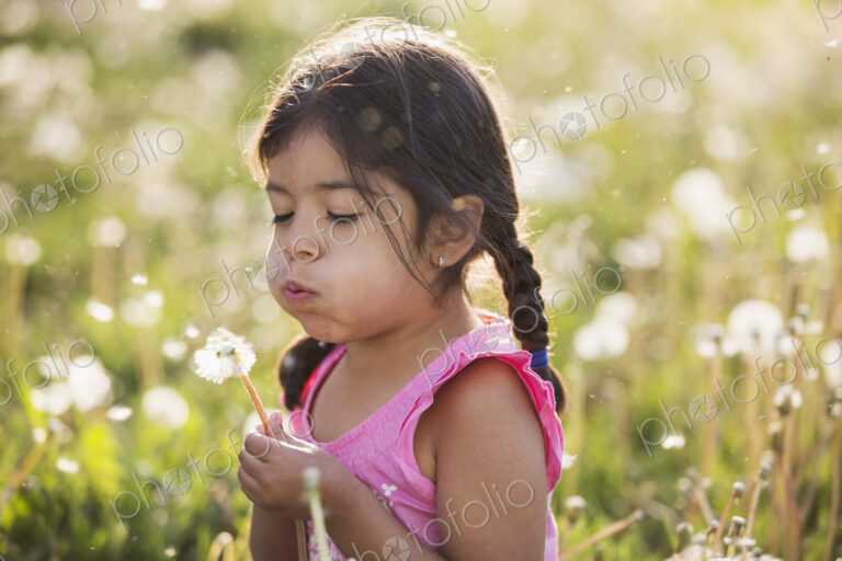 A young child in a field of flowers, blowing the fluffy seeds off a dandelion seedhead…