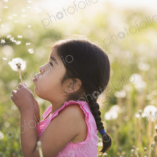 A young child in a field of flowers, blowing the fluffy seeds off a dandelion seedhead… A young child in a field of flowers, blowing the fluffy seeds off a dandelion seedhead…