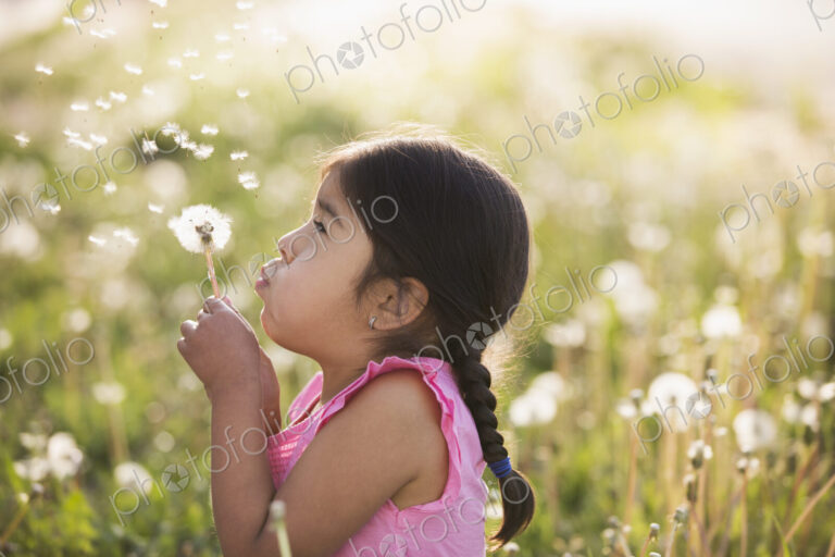 A young child in a field of flowers, blowing the fluffy seeds off a dandelion seedhead…