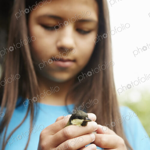 A young girl, a birdwatcher and nature lover, holding a small wild bird in her hands.