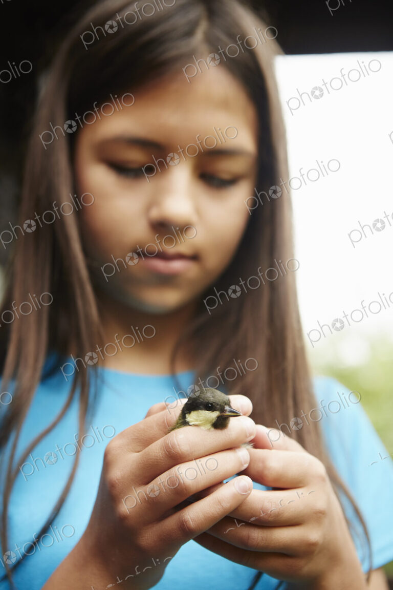 A young girl, a birdwatcher and nature lover, holding a small wild bird in her hands.