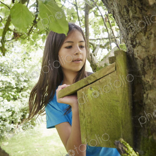 A young girl, a birdwatcher, checking a nesting box on a tree trunk.