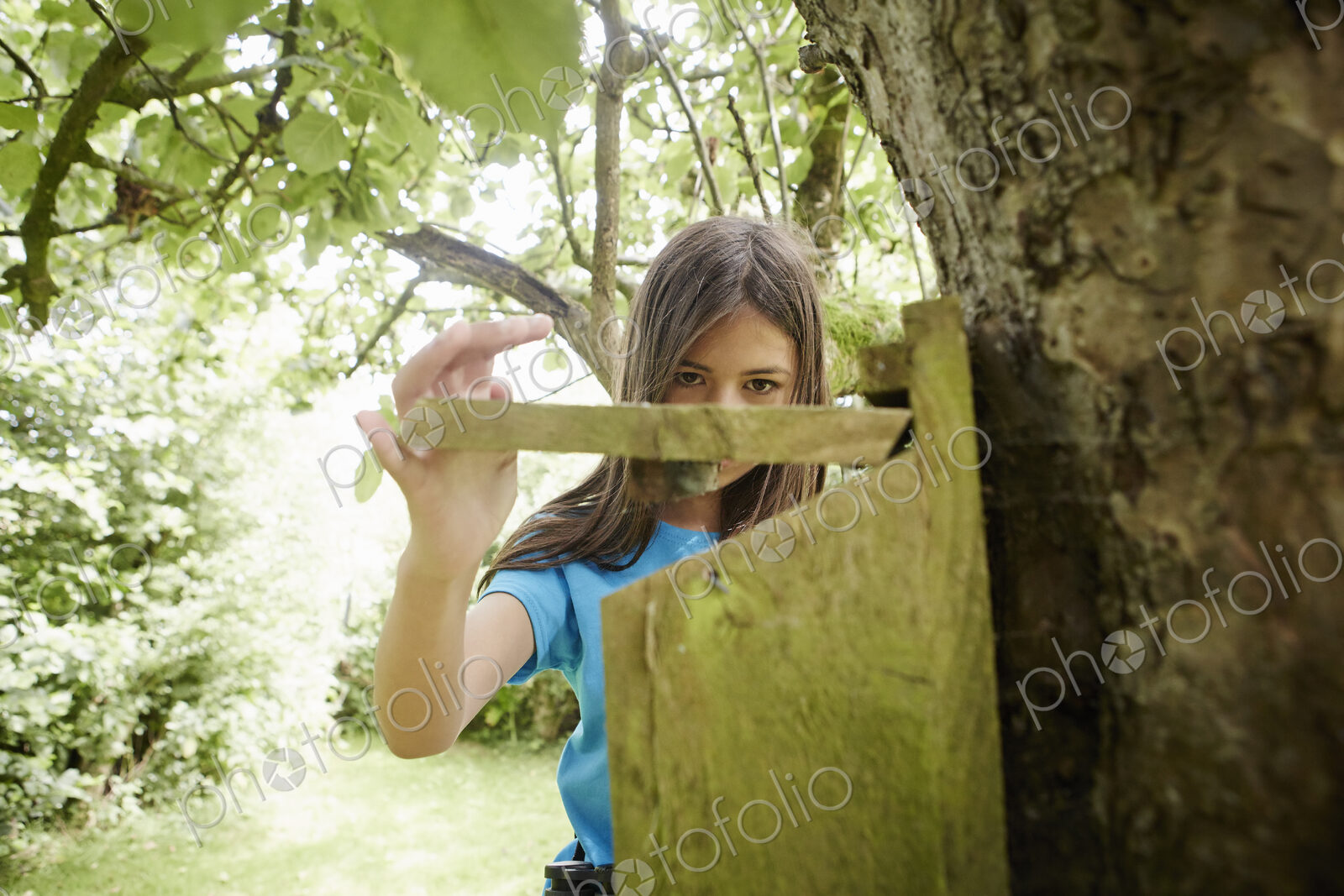 A young girl, a birdwatcher, checking a nesting box on a tree trunk.