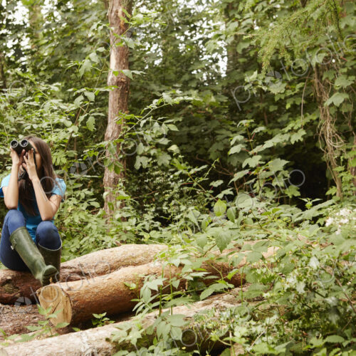 A young girl, a birdwatcher sitting on a log in the woods, using binoculars.