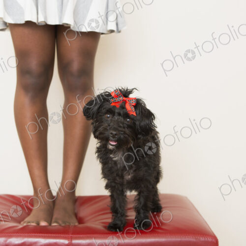 A young girl and her small black dog standing on a stool.