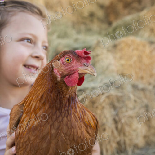A young girl holding a chicken in a henhouse. A young girl holding a chicken in a henhouse.