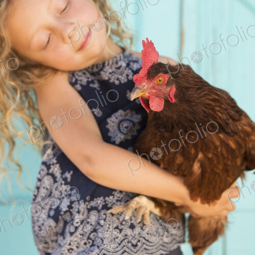 A young girl holding a chicken in her arms. A young girl holding a chicken in her arms.