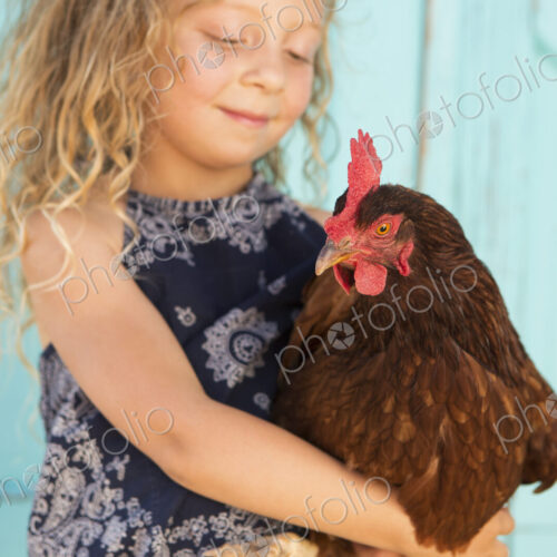 A young girl holding a chicken in her arms. A young girl holding a chicken in her arms.