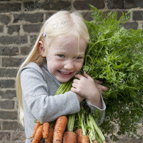 A young girl holding a large bunch of carrots. A young girl holding a large bunch of carrots.