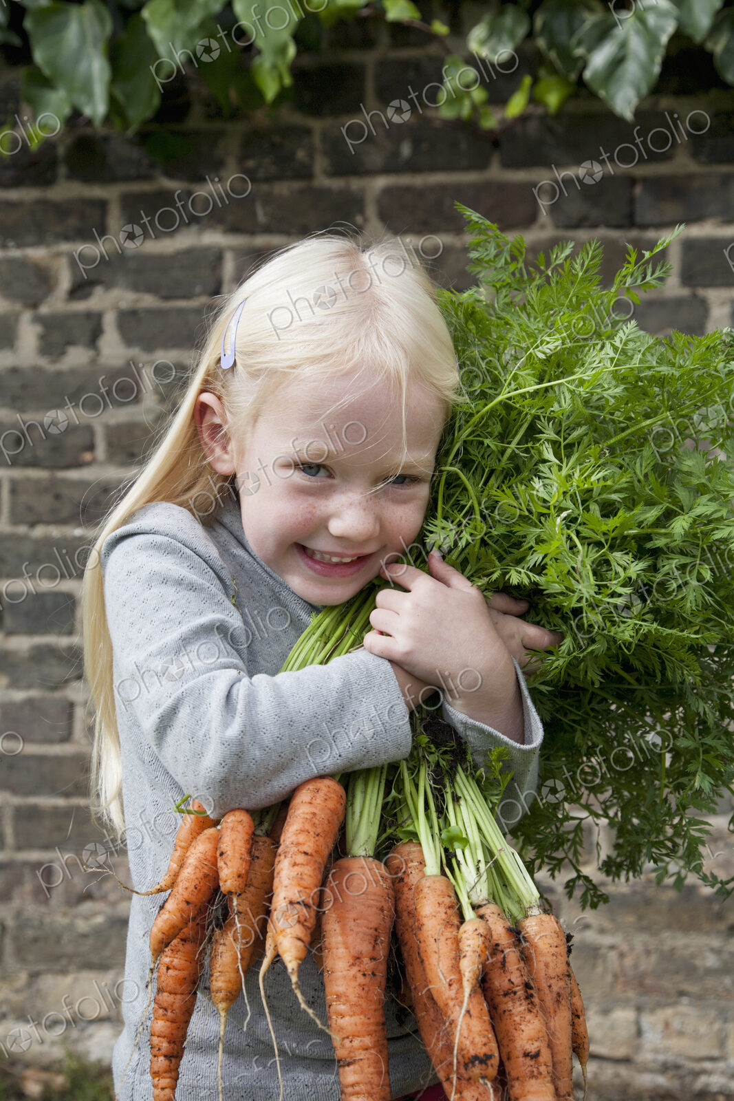 A young girl holding a large bunch of carrots.