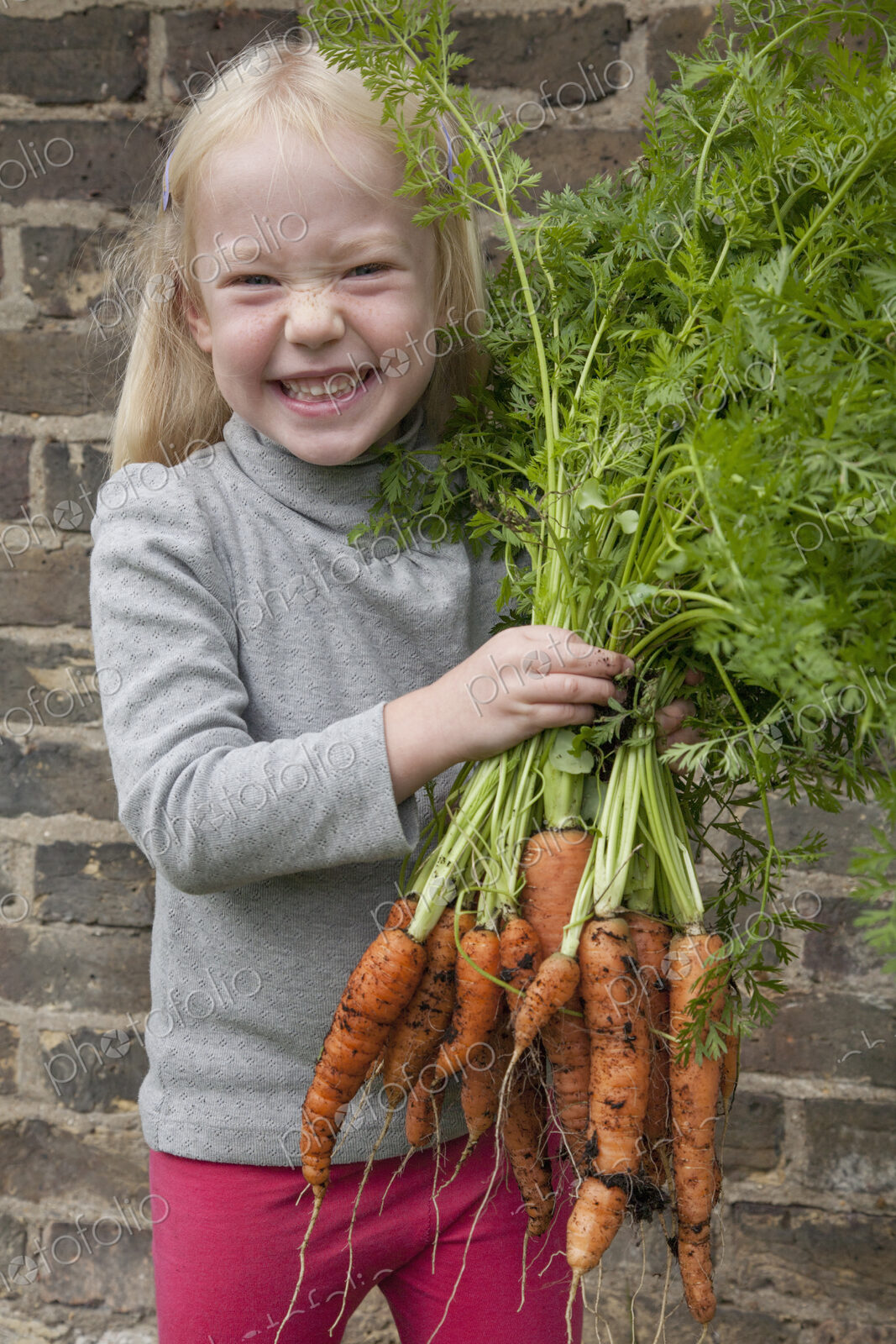 A young girl holding a large bunch of carrots.