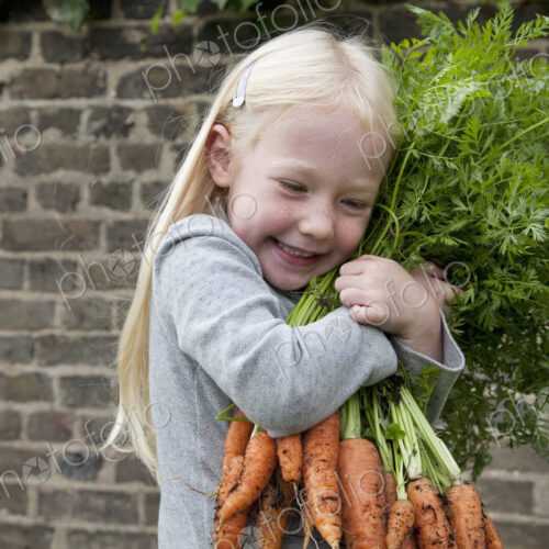 A young girl holding a large bunch of carrots. A young girl holding a large bunch of carrots.