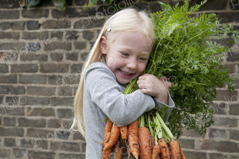 A young girl holding a large bunch of carrots.