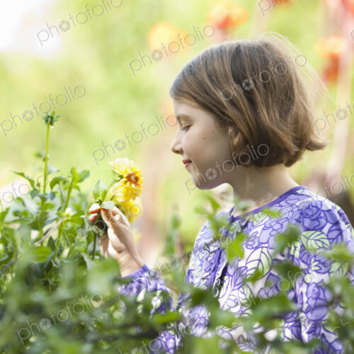 A young girl in a blue dress picking flowers in a garden. A young girl in a blue dress picking flowers in a garden.