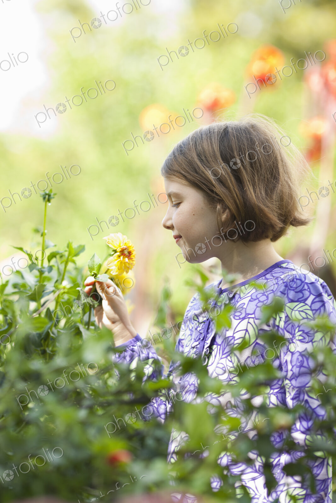 A young girl in a blue dress picking flowers in a garden.