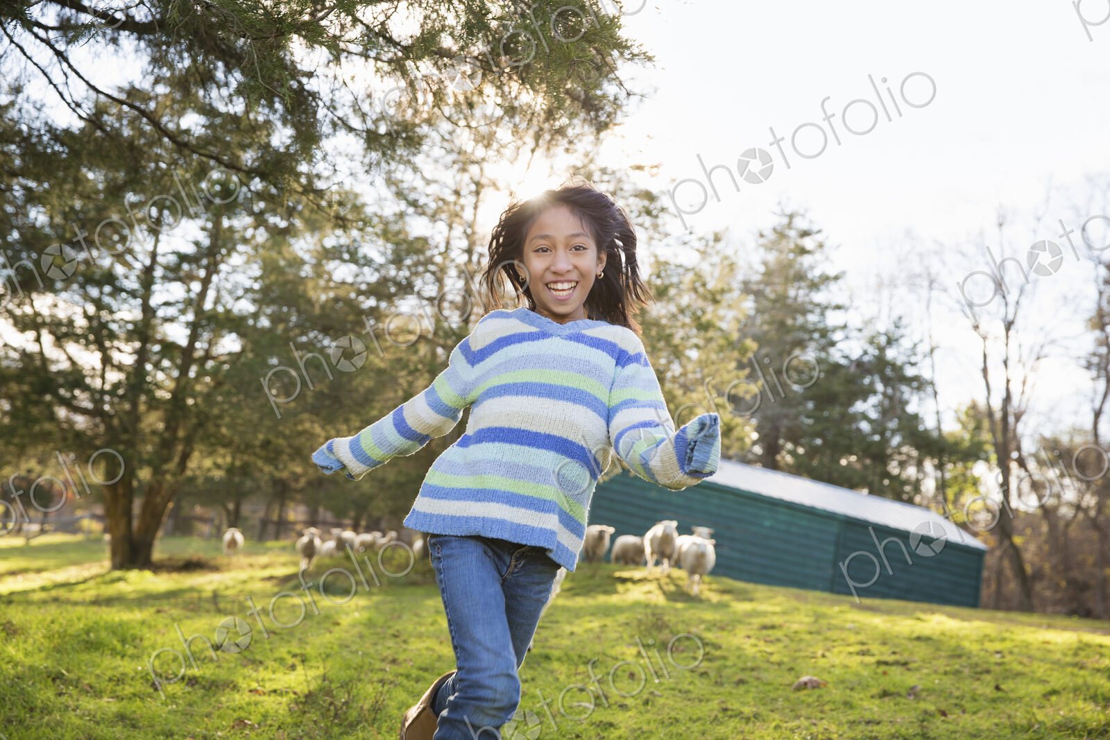 A young girl in a blue stripey top running in a field of sheep at an animal sanctuary.