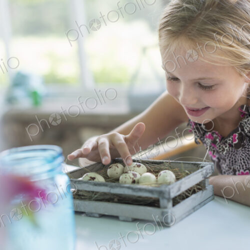 A young girl in a floral dress, examining a clutch of speckled bird eggs in a box. A young girl in a floral dress, examining a clutch of speckled bird eggs in a box.