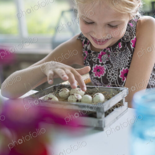 A young girl in a floral dress, examining a clutch of speckled bird eggs in a box. A young girl in a floral dress, examining a clutch of speckled bird eggs in a box.