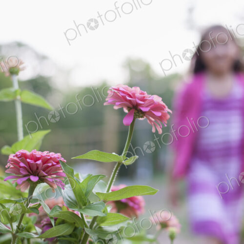 A young girl in a pink dress, walking past a bed of flowers in an organic garden. A young girl in a pink dress, walking past a bed of flowers in an organic garden.