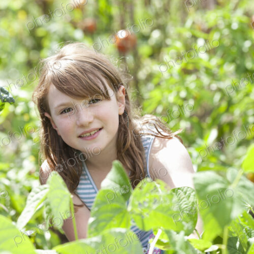 A young girl sitting in among the fresh green foliage of a garden. Vegetables and… A young girl sitting in among the fresh green foliage of a garden. Vegetables and…