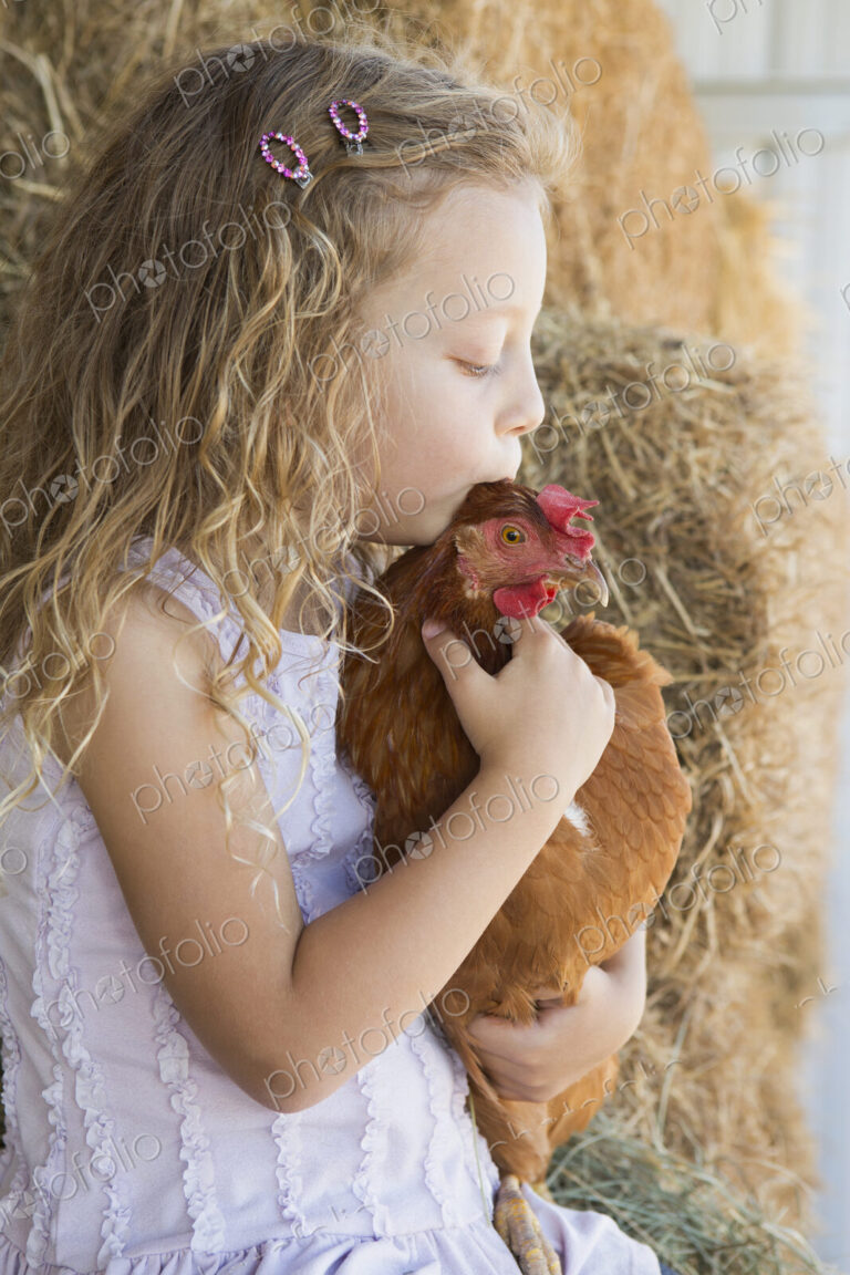 A young girl standing in a hay barn holding a chicken in her arms.