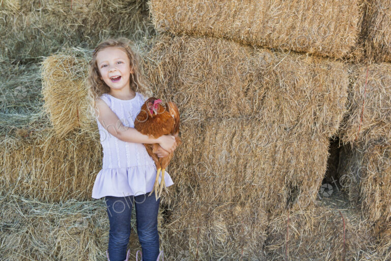 A young girl standing in a hay barn holding a chicken in her arms.