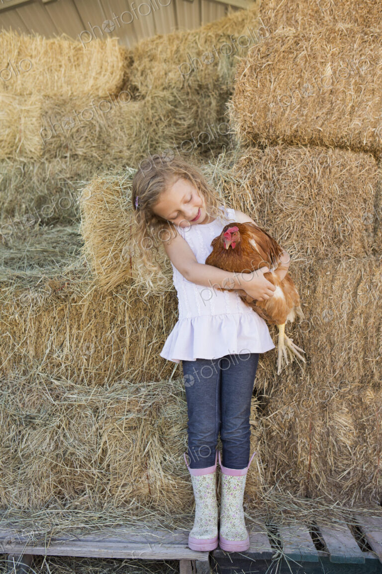 A young girl standing in a hay barn holding a chicken in her arms.