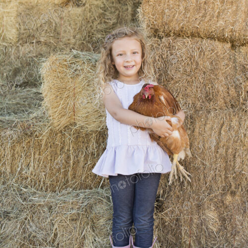 A young girl standing in a hay barn holding a chicken in her arms. A young girl standing in a hay barn holding a chicken in her arms.