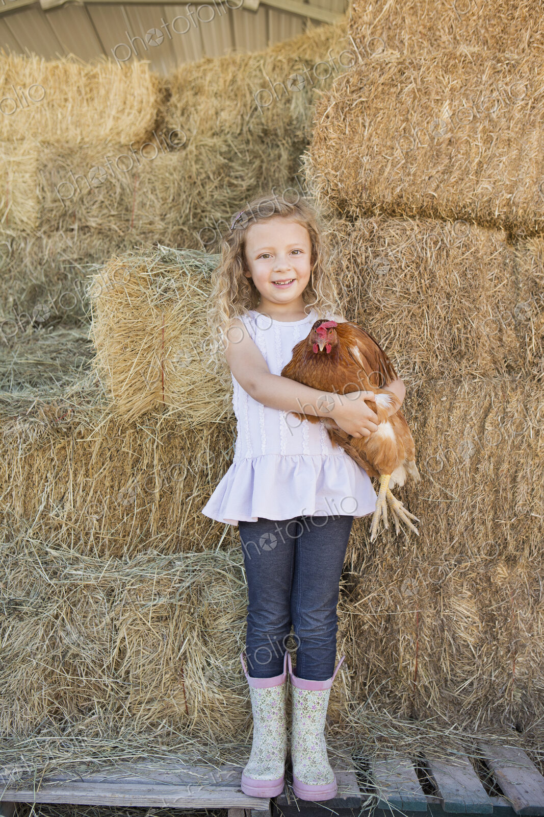 A young girl standing in a hay barn holding a chicken in her arms.