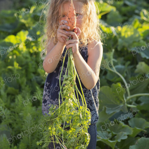 A young girl with long red curly hair outdoors in a garden, holding freshly picked… A young girl with long red curly hair outdoors in a garden, holding freshly picked…