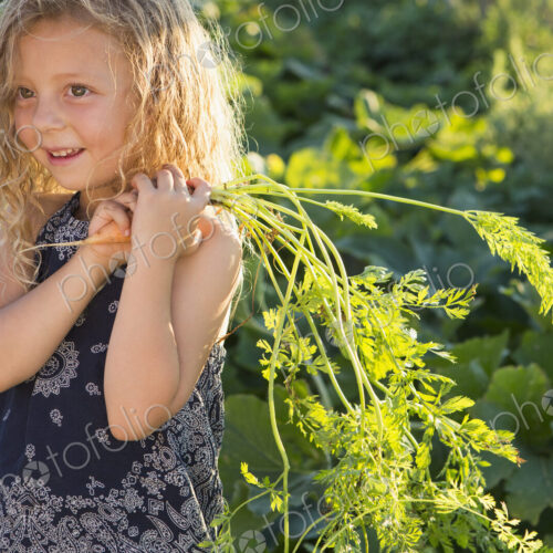 A young girl with long red curly hair outdoors in a garden, holding freshly picked… A young girl with long red curly hair outdoors in a garden, holding freshly picked…