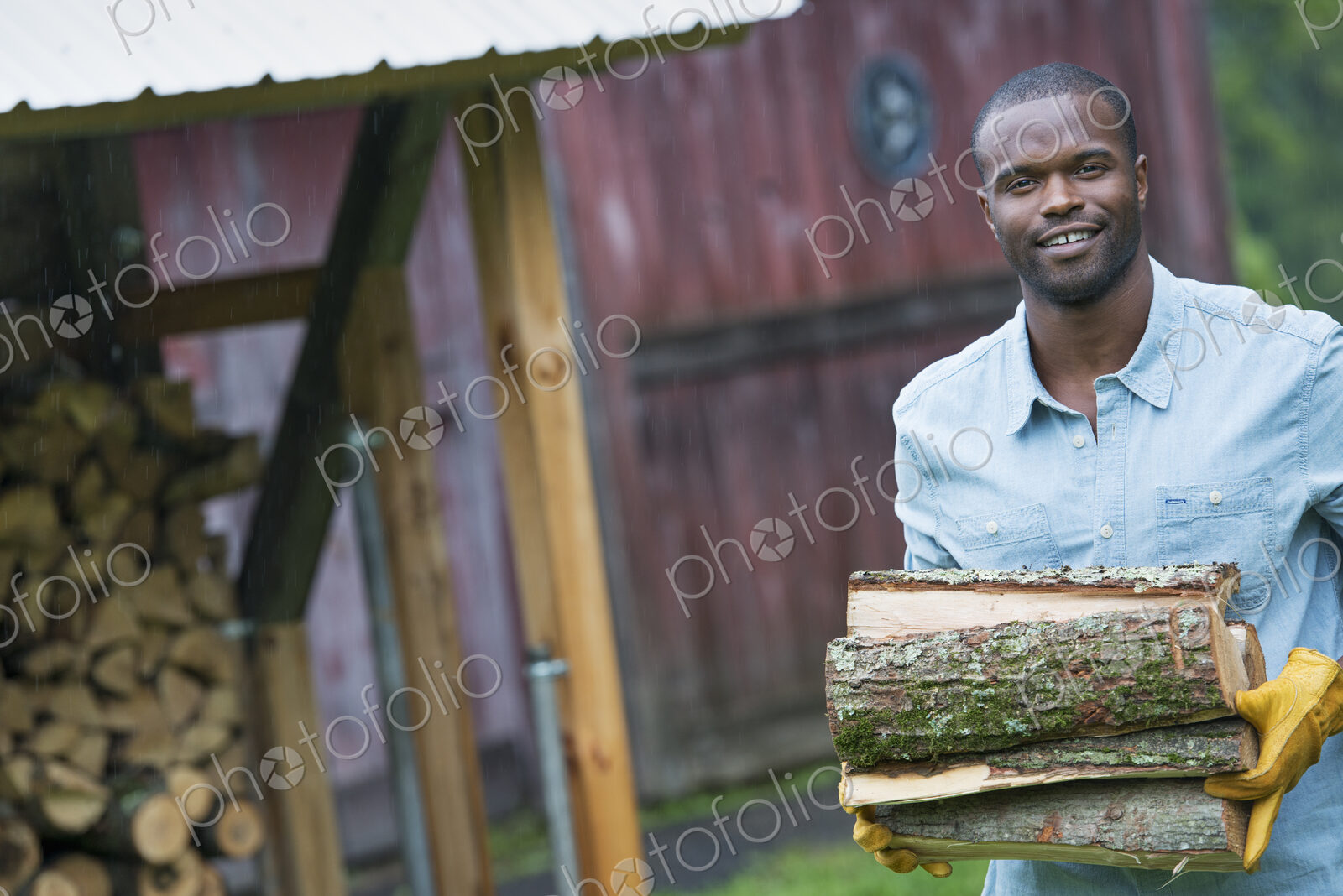A young man carrying a pile of logs in from the logstore. Farm life.