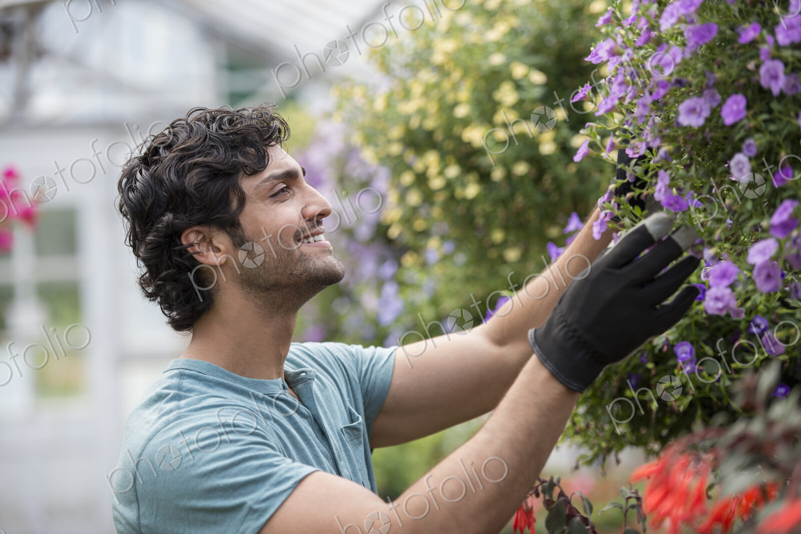 A young man working in a greenhouse full of flowering plants.