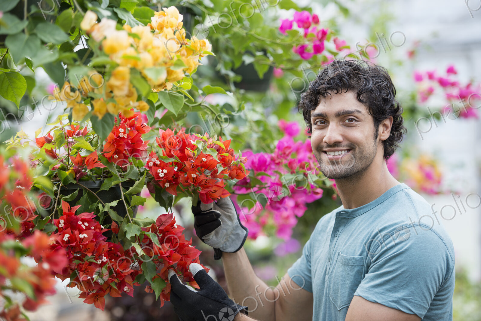 A young man working in a greenhouse full of flowering plants.