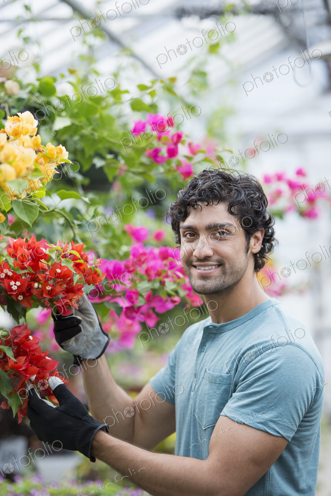 A young man working in a greenhouse full of flowering plants.