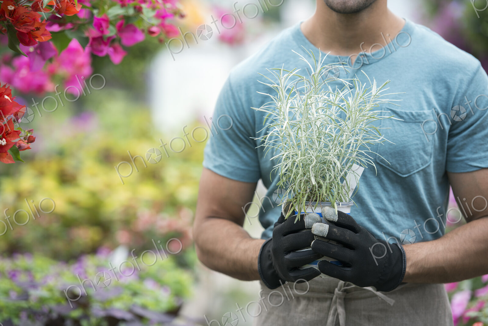 A young man working in a greenhouse full of flowering plants.