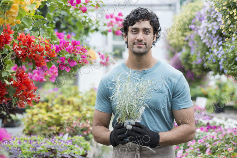A young man working in a greenhouse full of flowering plants.