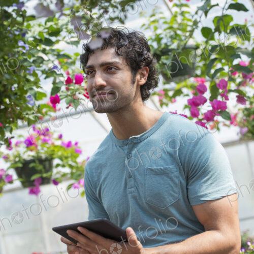 A young man working in a plant nursery, surrounded by flowering plants. A young man working in a plant nursery, surrounded by flowering plants.