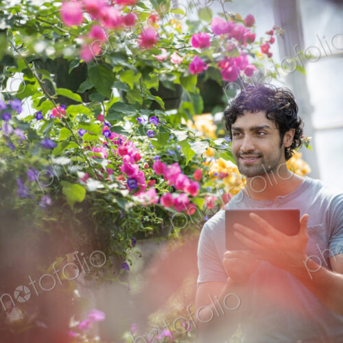 A young man working in a plant nursery, surrounded by flowering plants. A young man working in a plant nursery, surrounded by flowering plants.