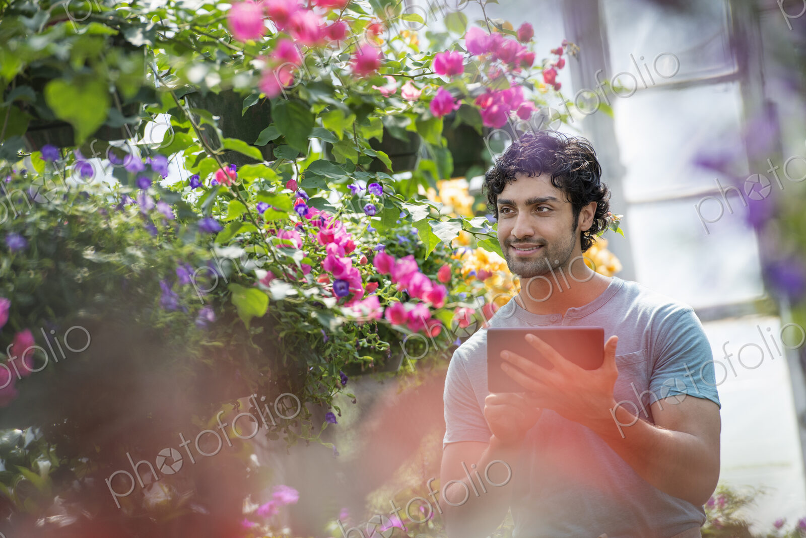 A young man working in a plant nursery, surrounded by flowering plants.