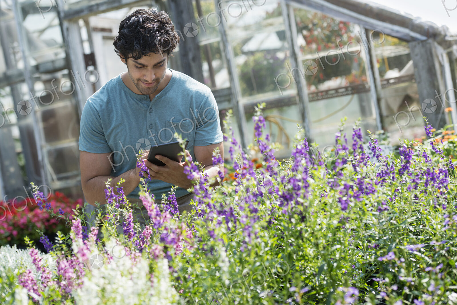 A young man working in a plant nursery, surrounded by flowering plants.