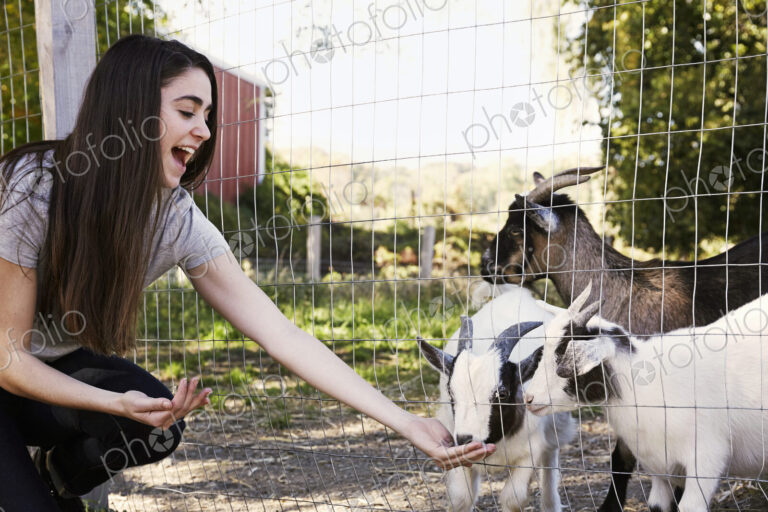 A young woman crouching down and feeding a group of goats through a wire fence.