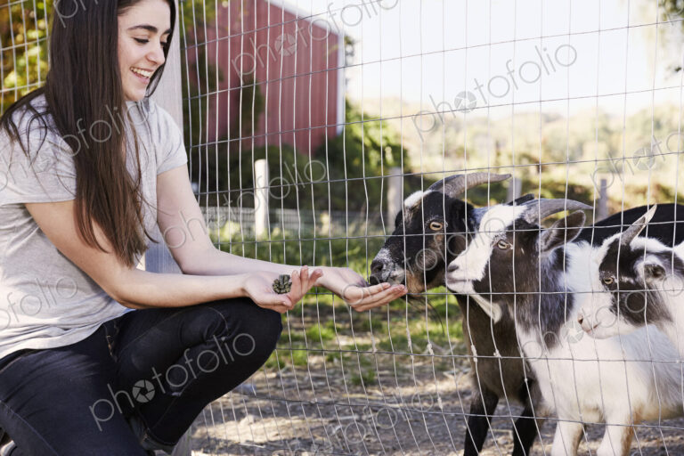 A young woman crouching down and feeding a pair of goats through a wire fence.